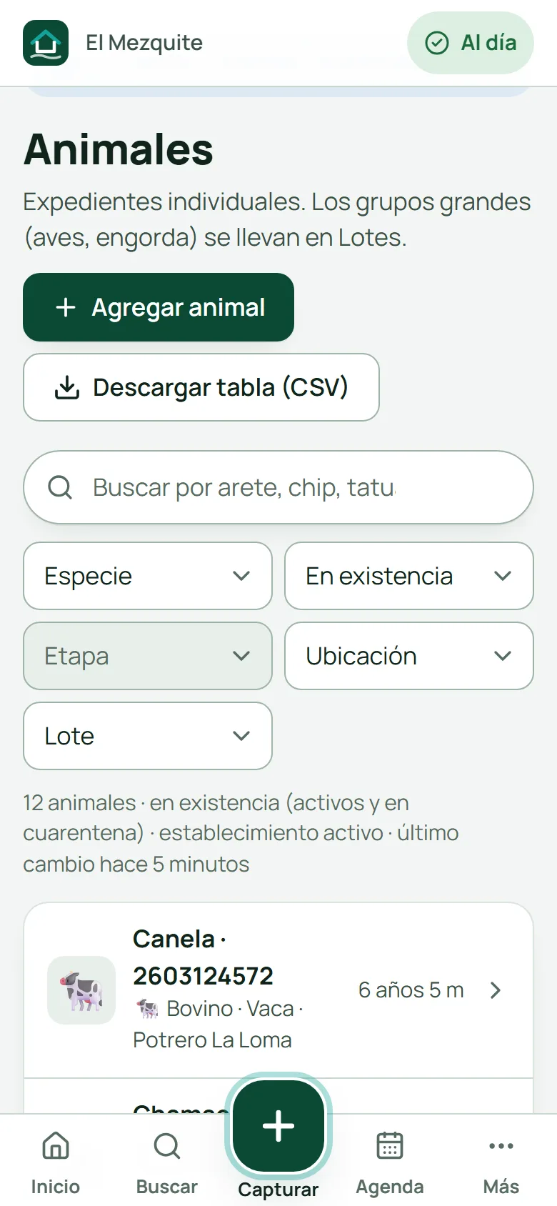 Lista de animales de El Mezquite