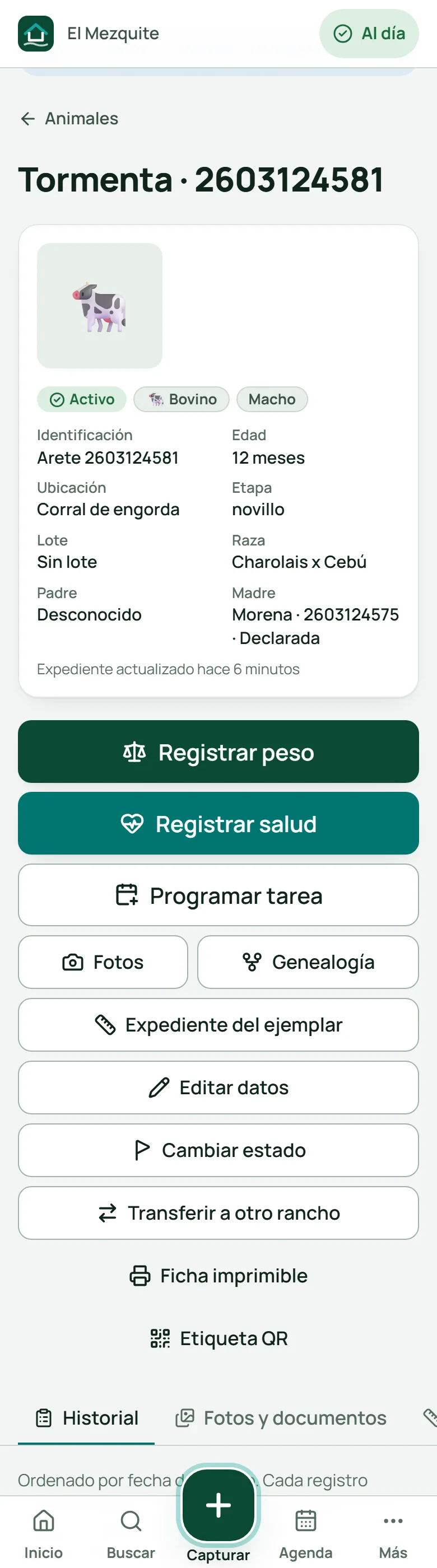 Ficha de Tormenta, arete 2603124581
