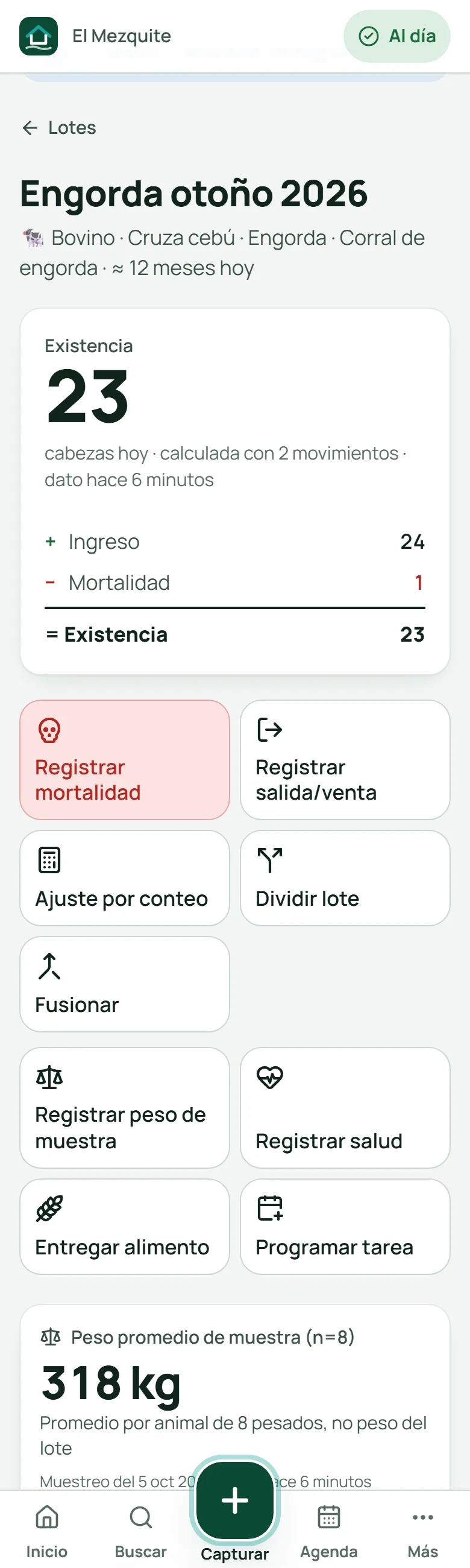 Ficha del lote Engorda otoño 2026 con su existencia