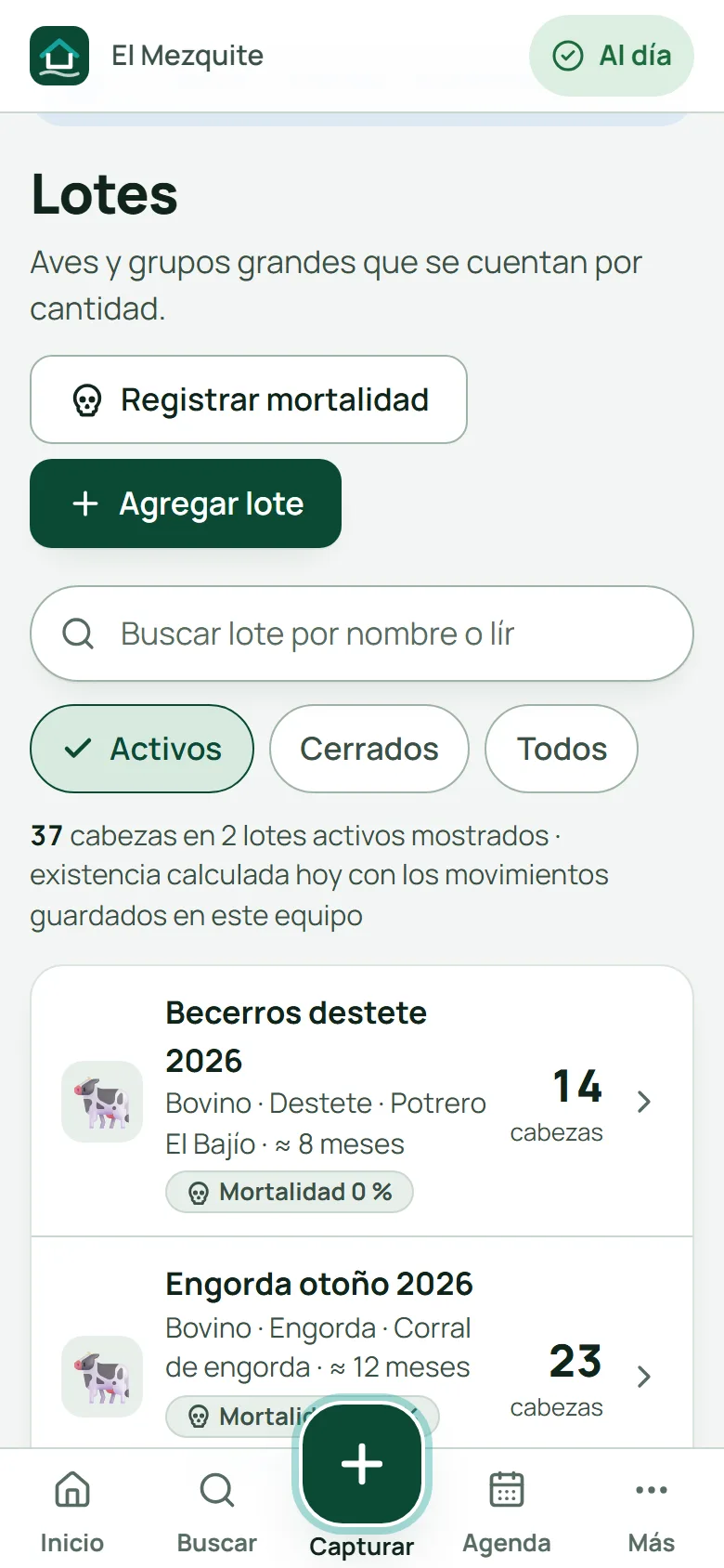 Lista de lotes