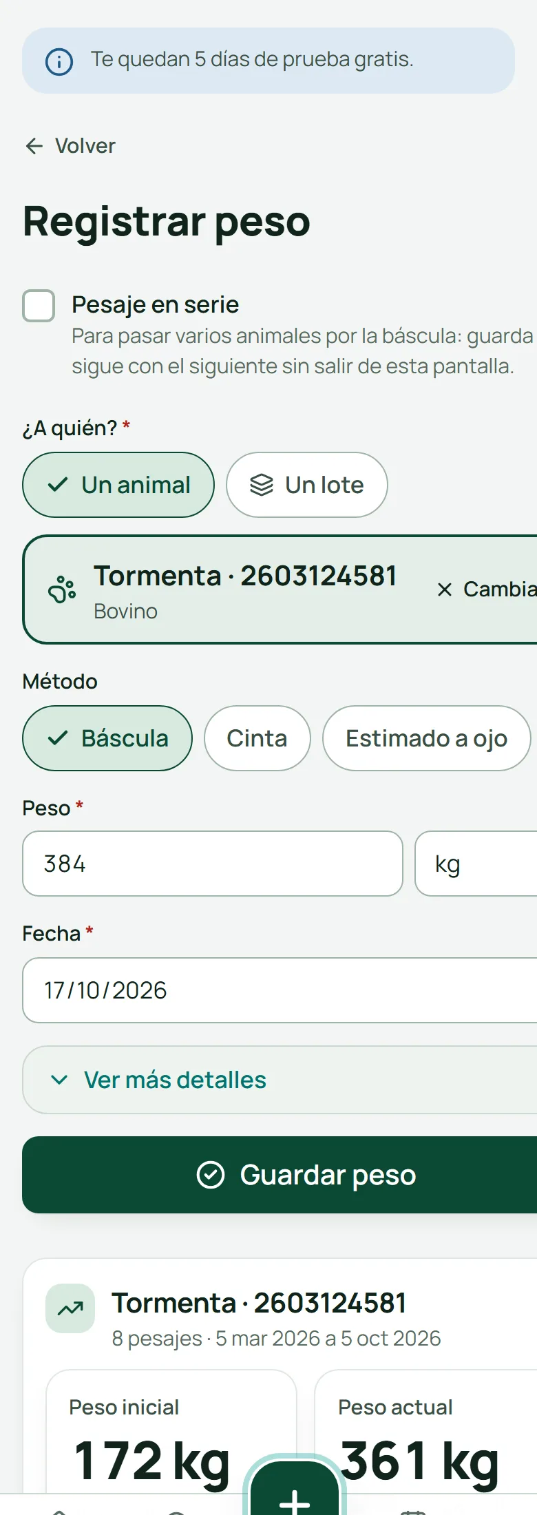 Registrar peso de Tormenta: 384 kg con báscula