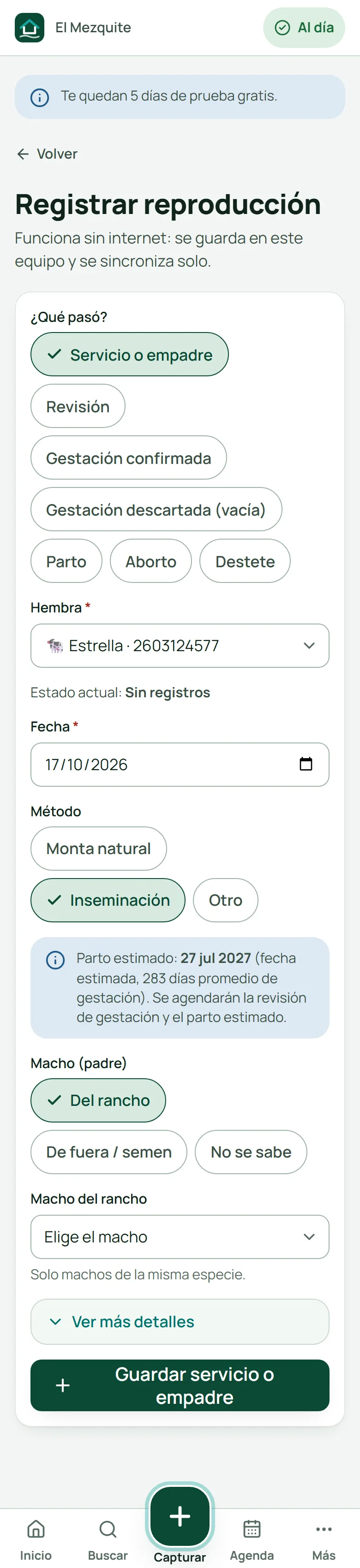 Registrar servicio de Estrella por inseminación