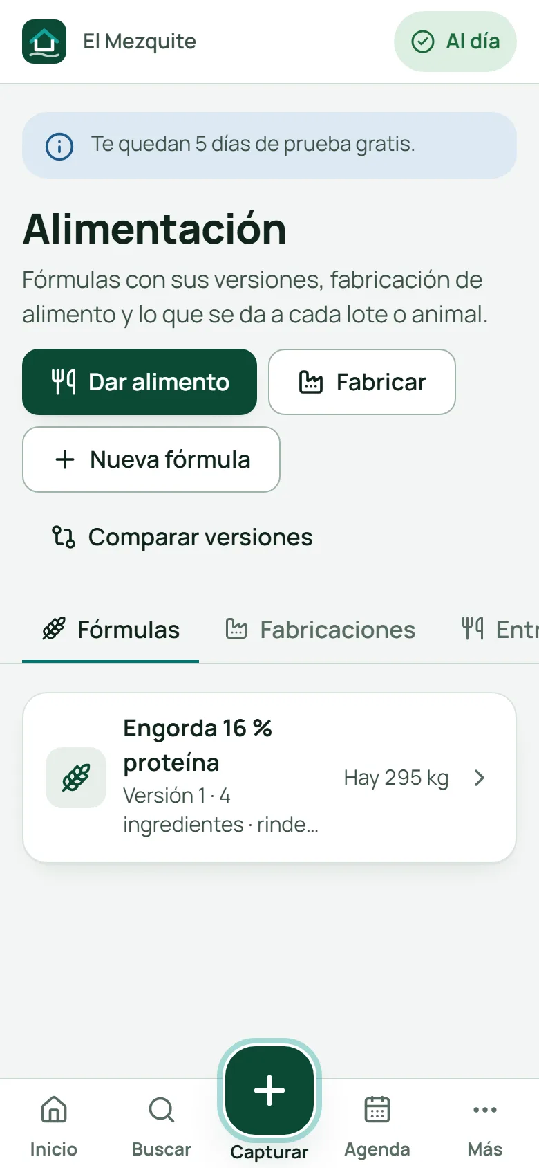 Alimentación: fórmula Engorda 16 % proteína