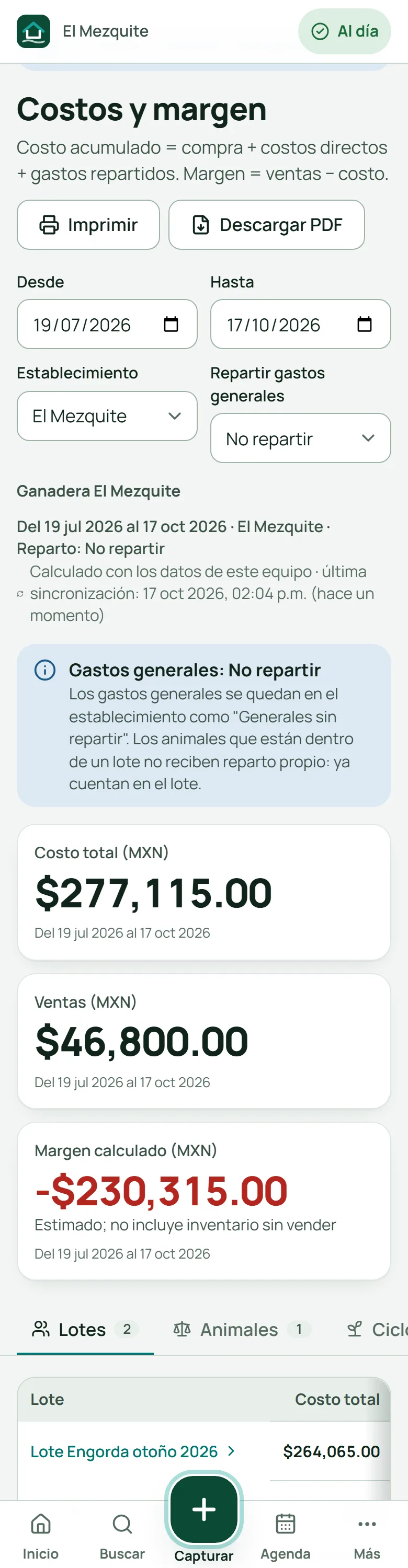Costos y margen del periodo