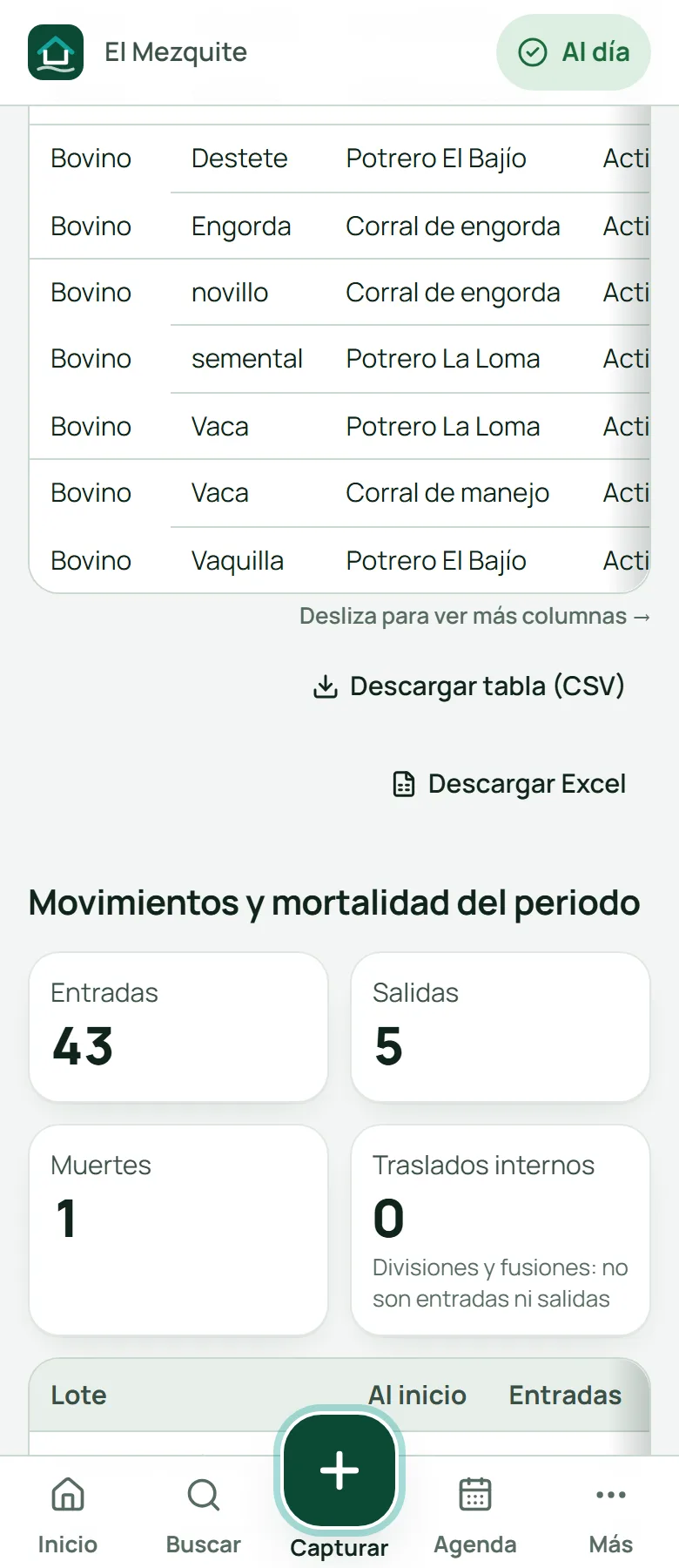 Botón Descargar Excel junto a la tabla