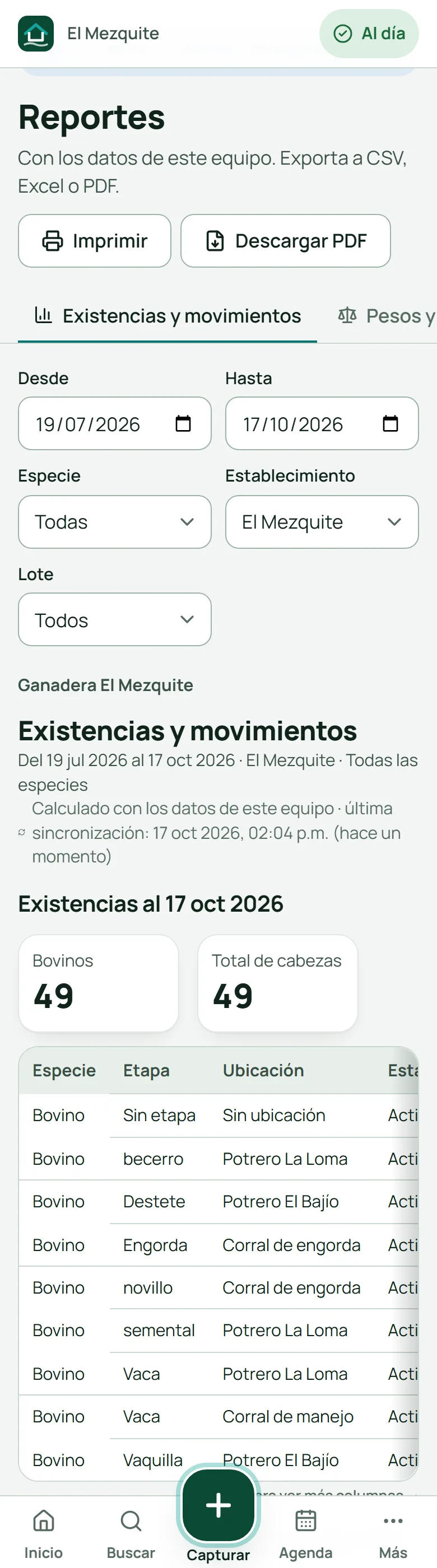 Reportes: pestañas, filtros y botones para descargar